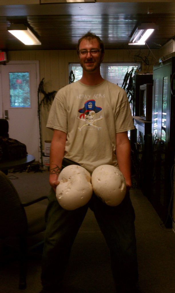 me holding two giant puffballs