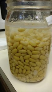 soybeans in jar