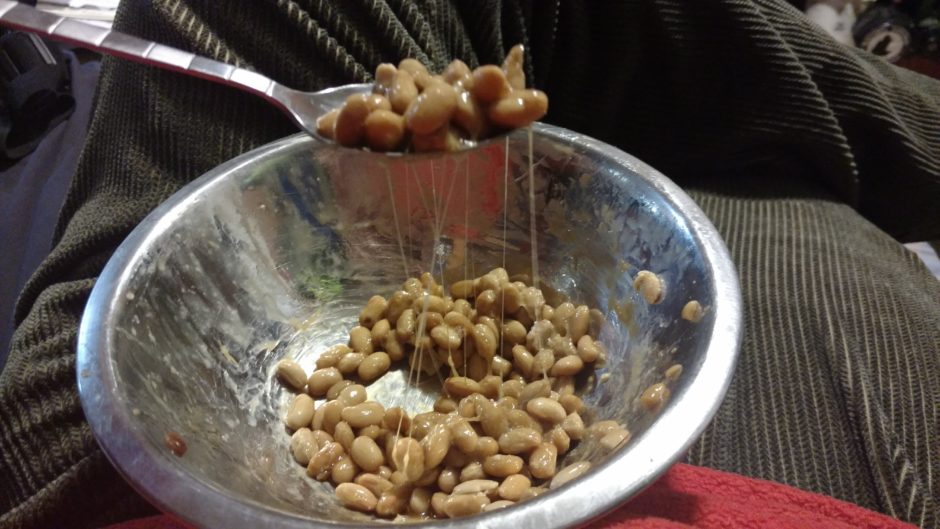 stringy natto
